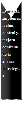 Reserved: Etapa III. Implementación, control y
mejora continua de la alianza estratégica


