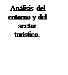 Text Box: Análisis del entorno y del sector turístico.

