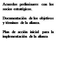 Text Box: Acuerdos preliminares con los socios estratégicos. 

Documentación de los objetivos y términos de la alianza.
 
Plan de acción inicial para la implementación de la alianza


